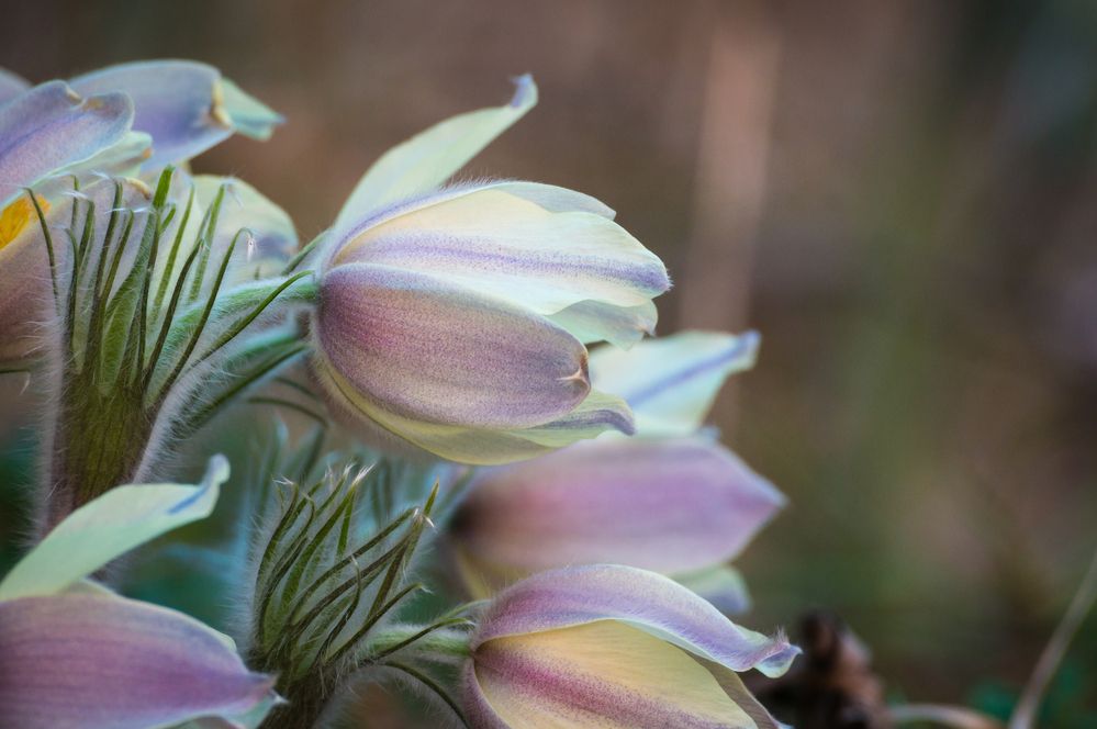 Фотография автора Александр Рудный