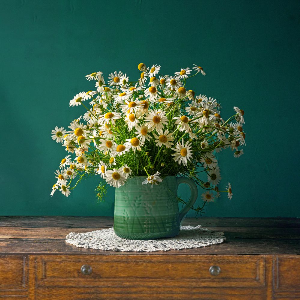 Photograph by Ольга Дерябина