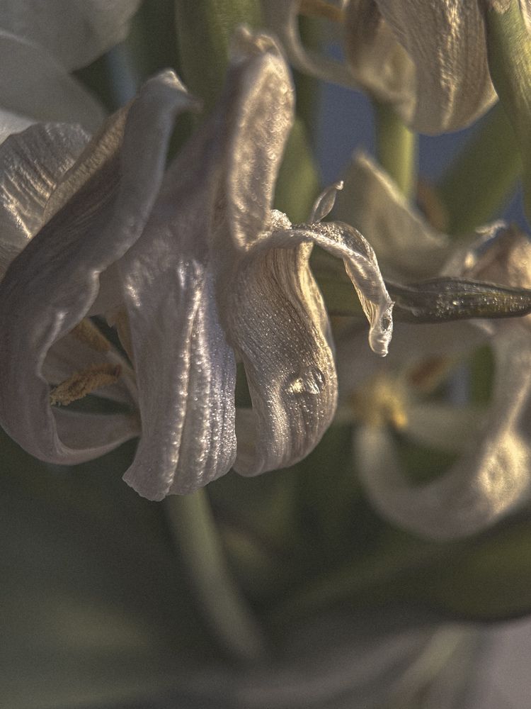 Photograph by Ксения Литвиненко