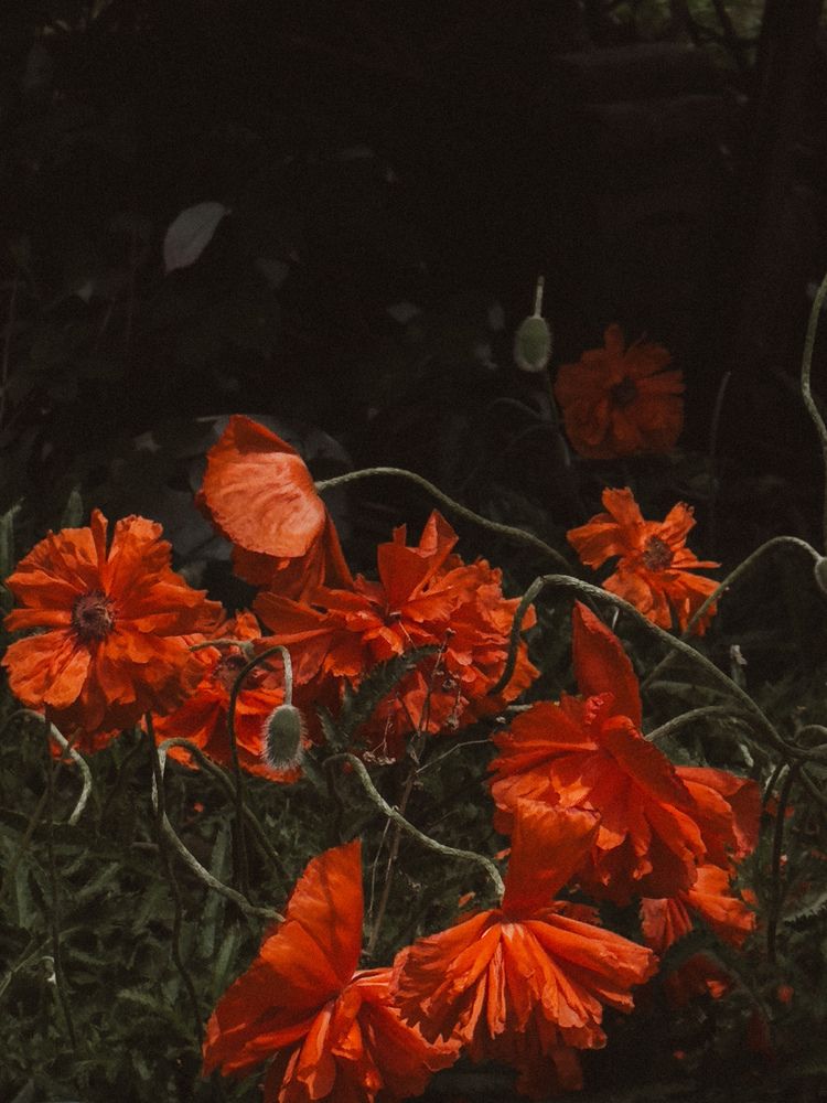 Photograph by Ксения Литвиненко