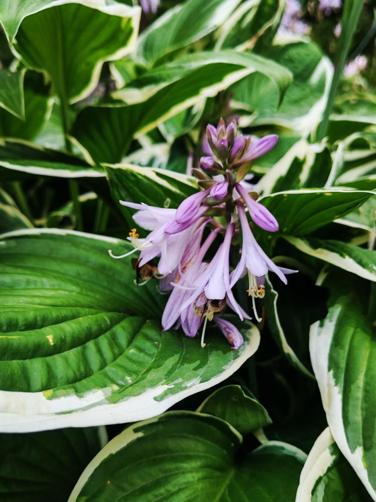 Photograph by Альбина