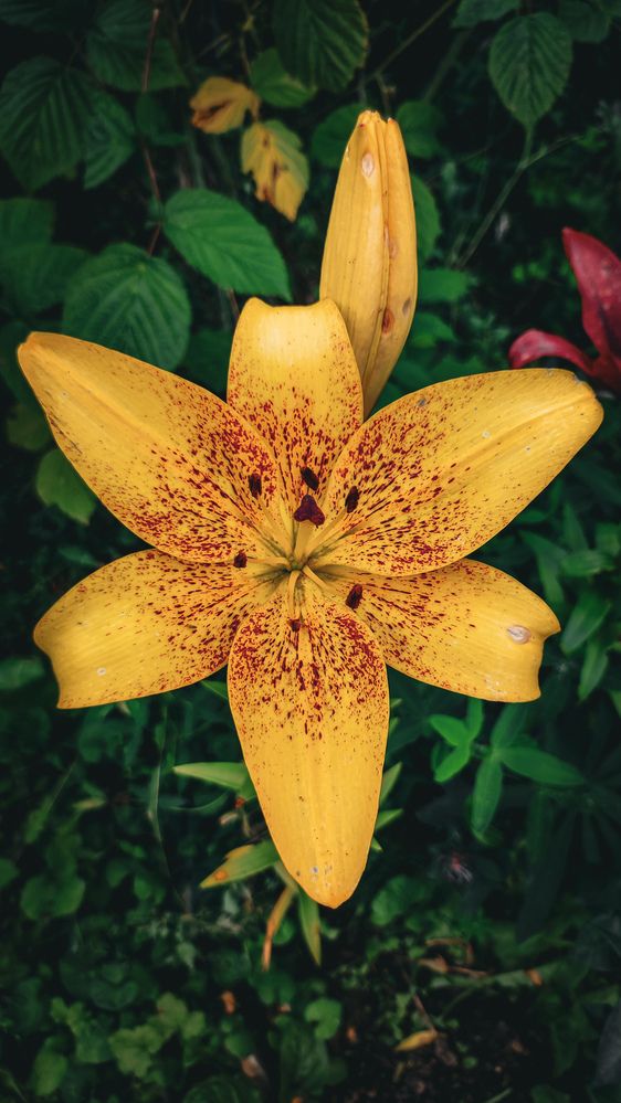 Photograph by Екатерина Никитина