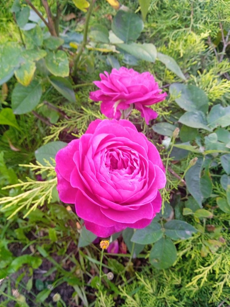 Photograph by Светлана