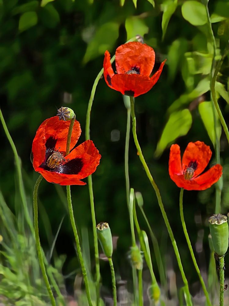 Photograph by Куделенко Оксана