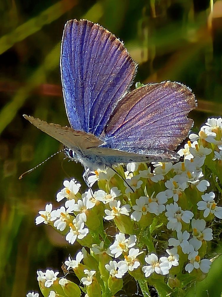 Photograph by Куделенко Оксана