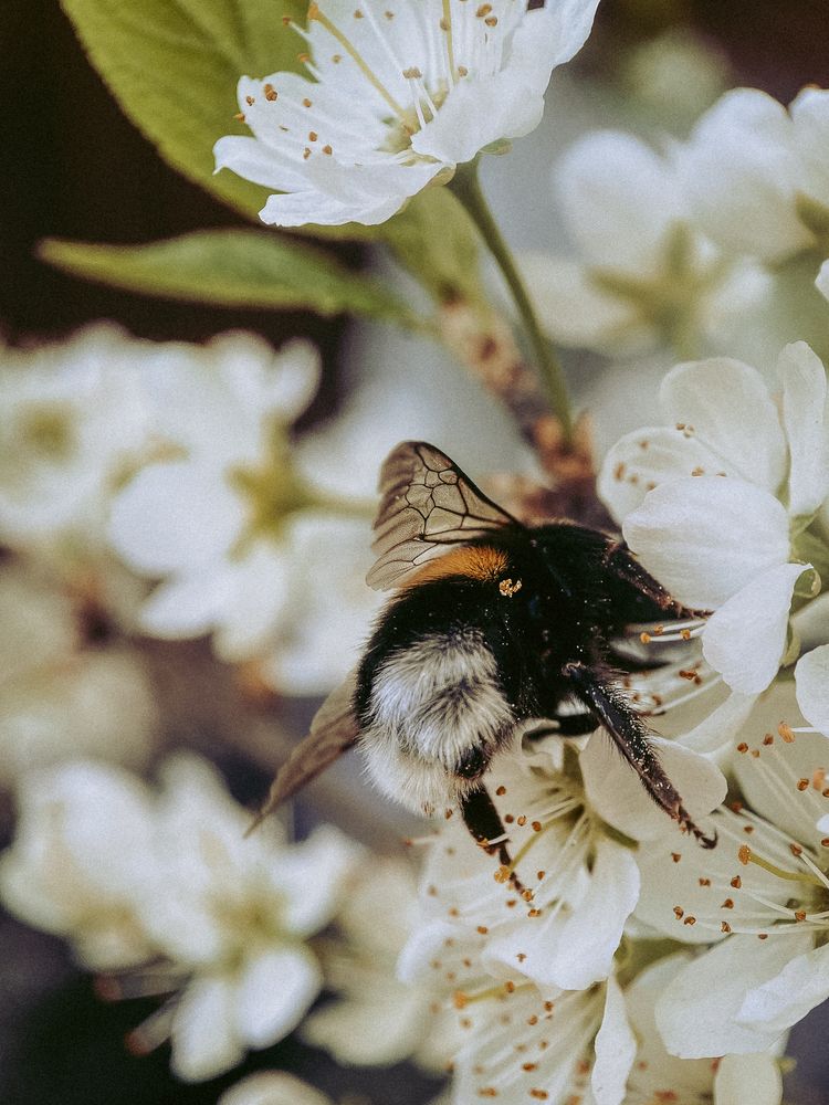 Photograph by Наталья Мальцева