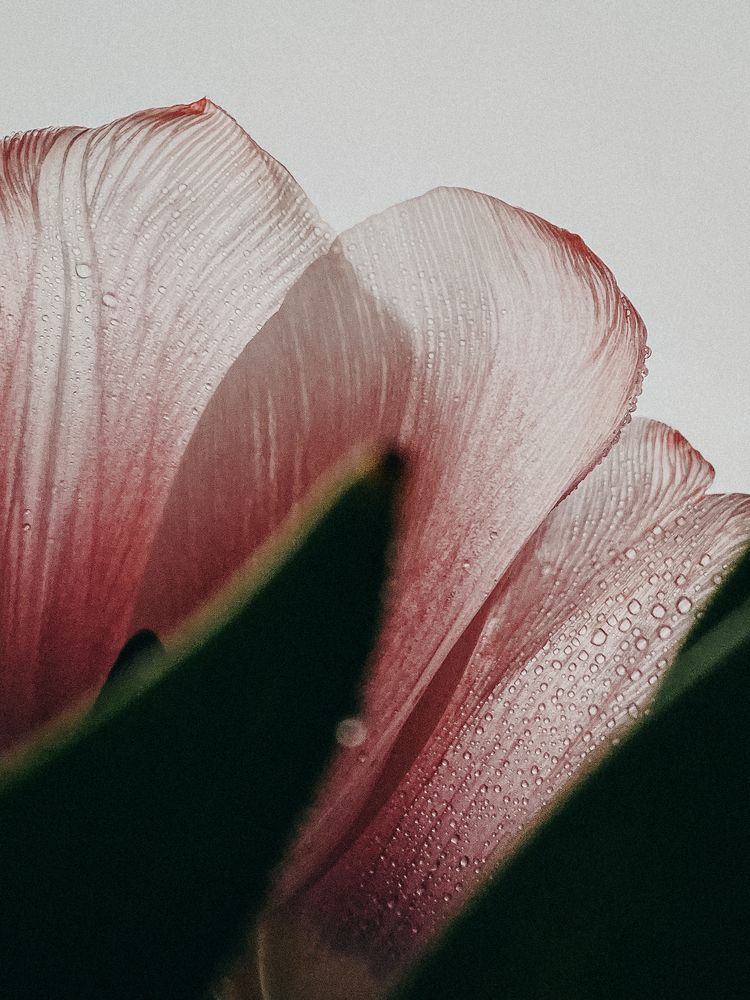 Photograph by Наталья Мальцева