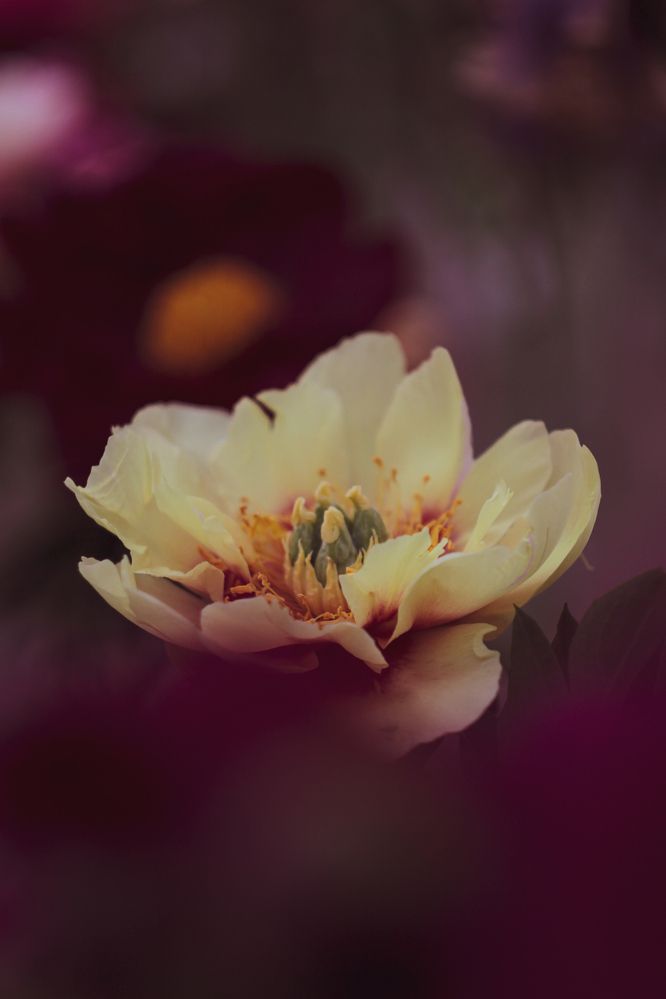 Photograph by Наталья Мальцева