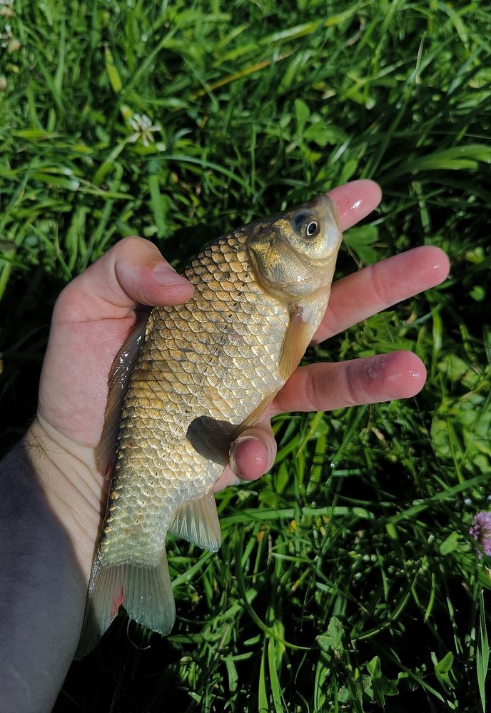 Photograph by Александр Житник