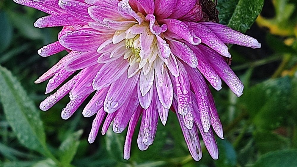 Photograph by Олена Бокова