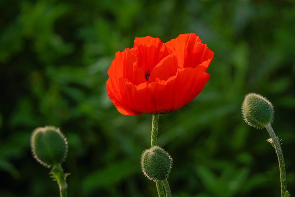 Photograph by Natalya