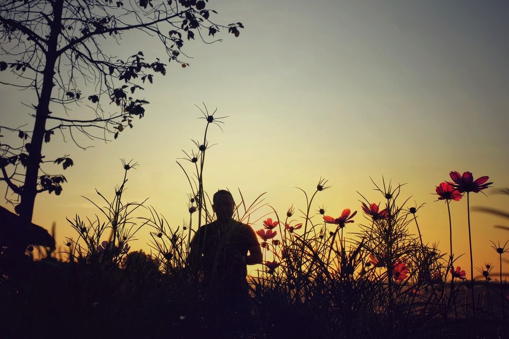 Photograph by Sy Thiep Le