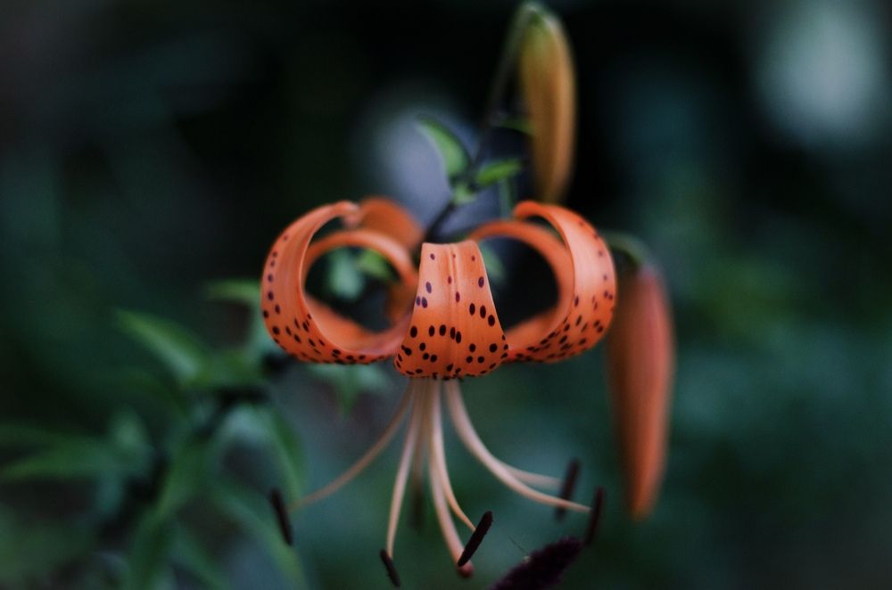 Photograph by Потапова Анна