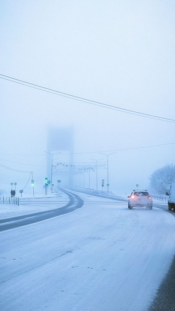 Фотография автора Dmitrii Shevchenko