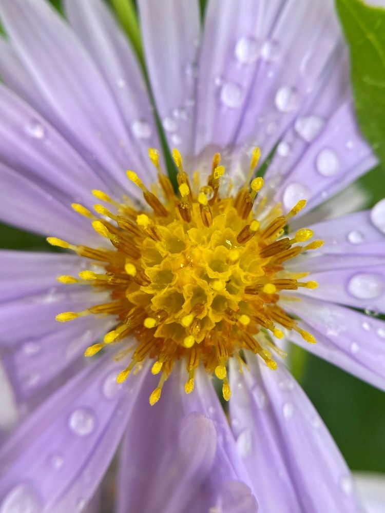Photograph by Станислава Садыкова