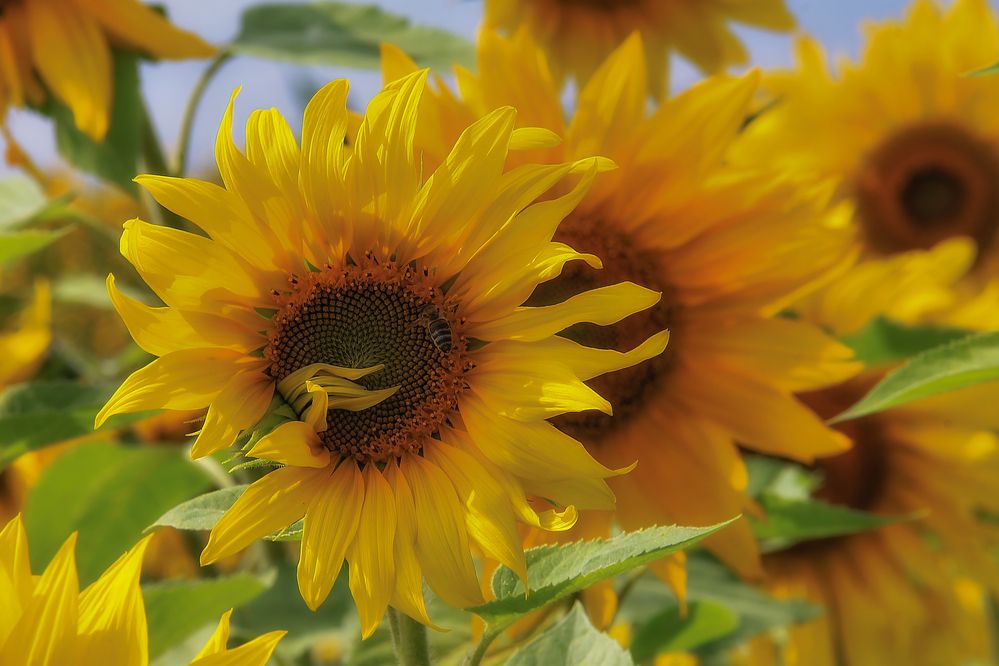 Фотография автора Юдинских Марина