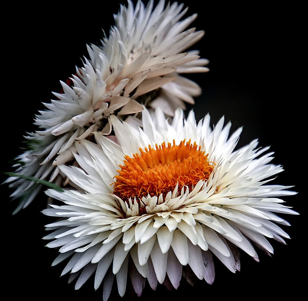 Фотография автора Александр