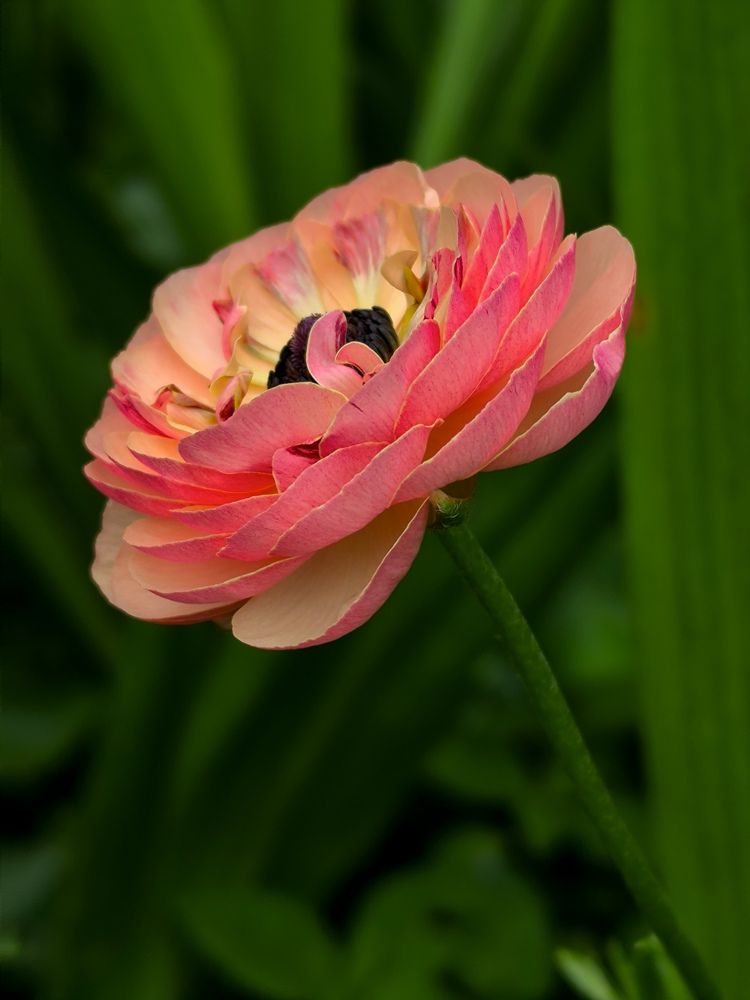 Фотография автора Лена Гром