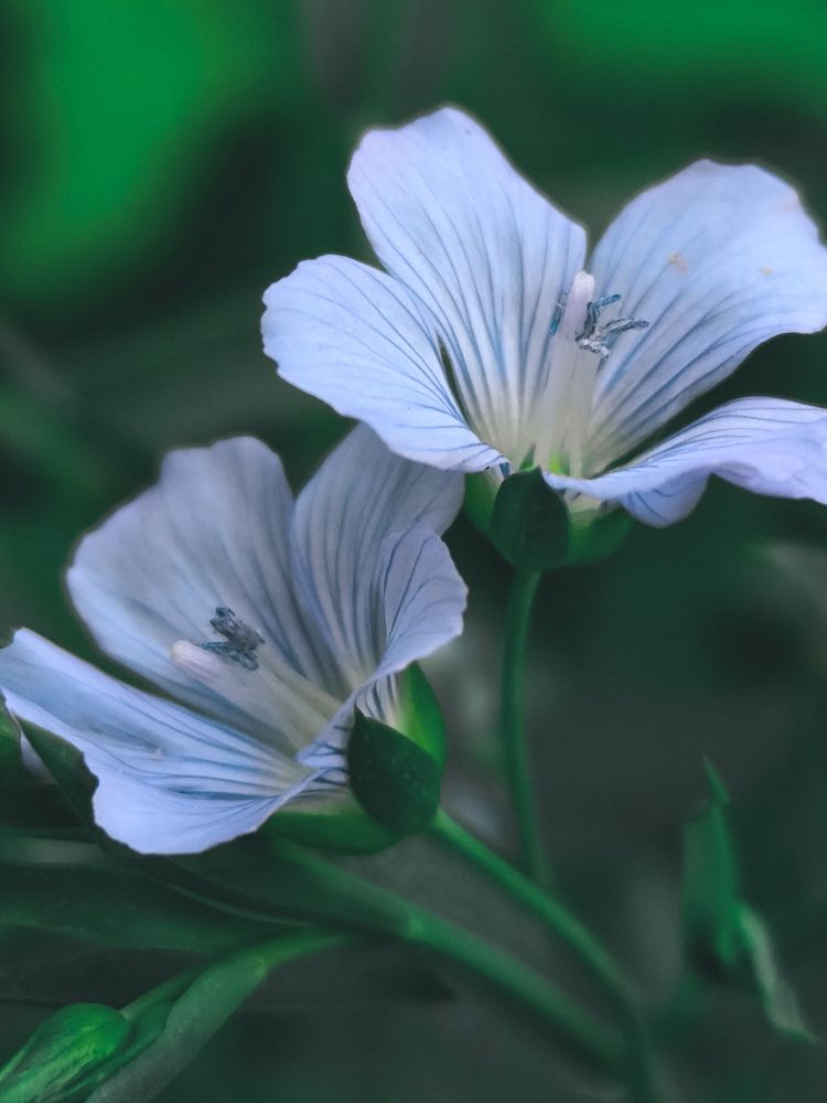 Фотография автора Лена Гром