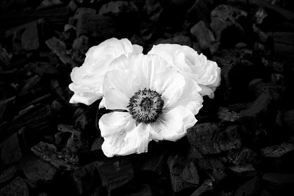 Photograph by Сергей Фридман