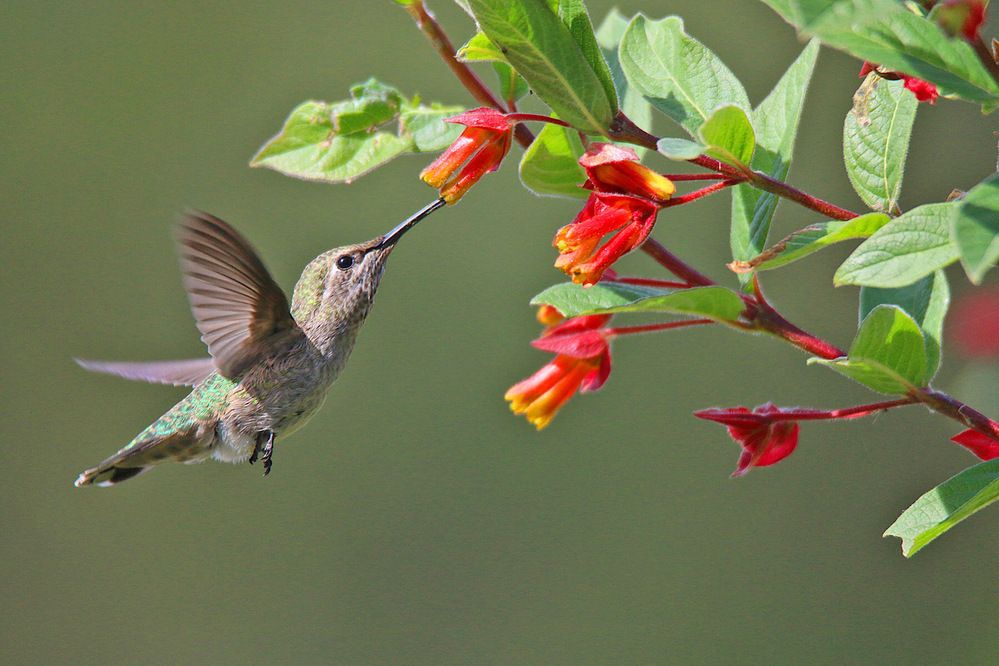 Фотография автора Suresh S S