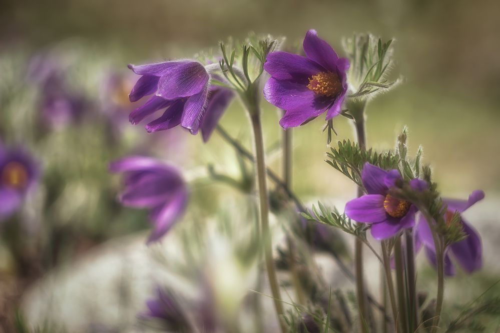 Фотография автора Юдинских Марина