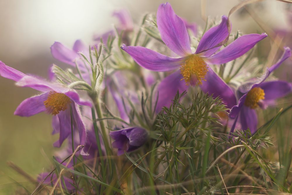 Фотография автора Юдинских Марина