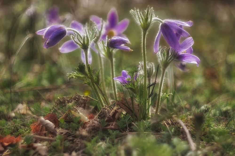 Фотография автора Юдинских Марина