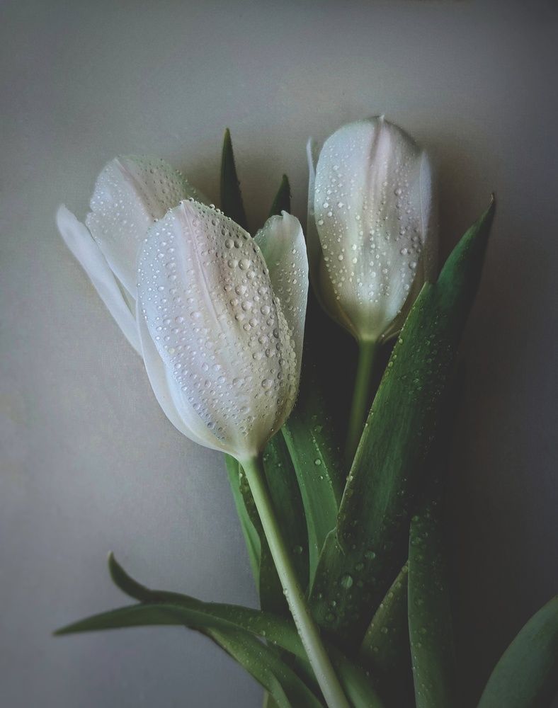 Фотография автора Наталья Силантьева