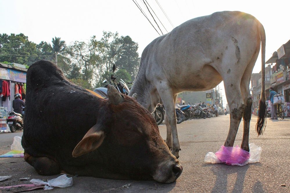 Nature Being Wrapped In Plastic
