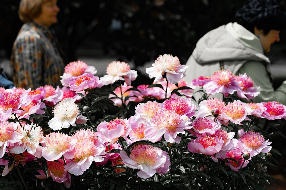 Photograph by Алёна