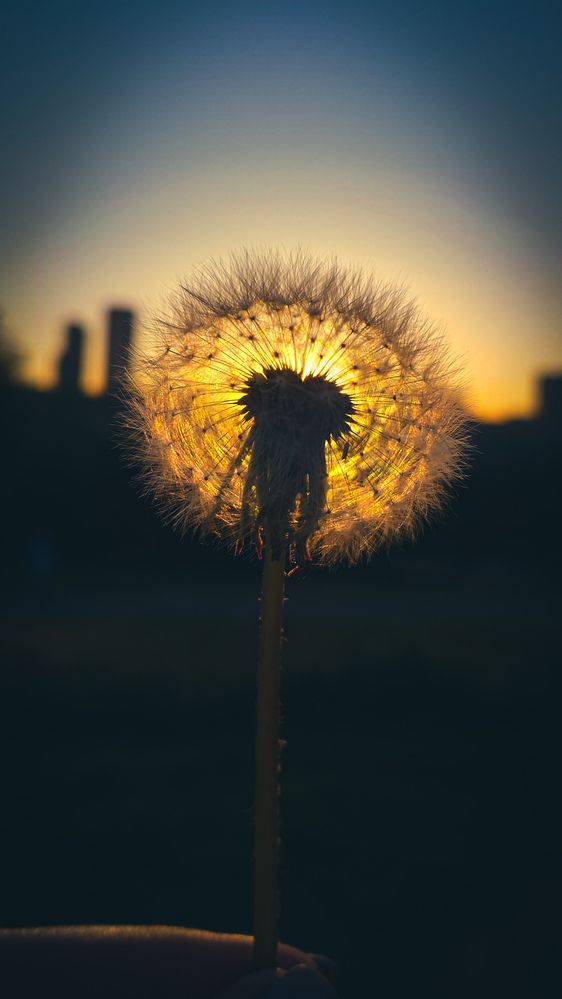 Фотография автора Elena Ku