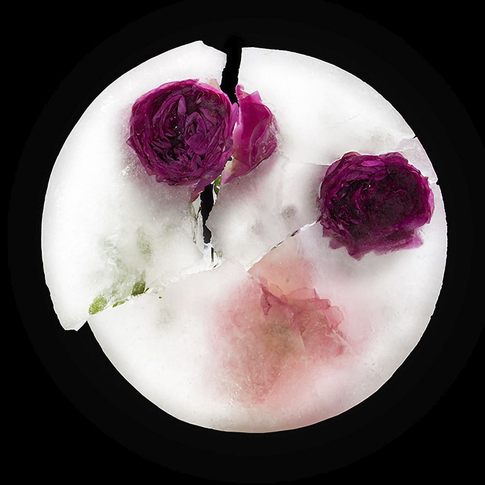 Photograph by Сергей Фридман