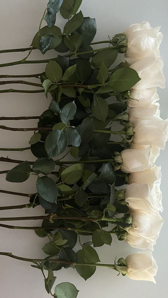 Photograph by Мария Брызгалова