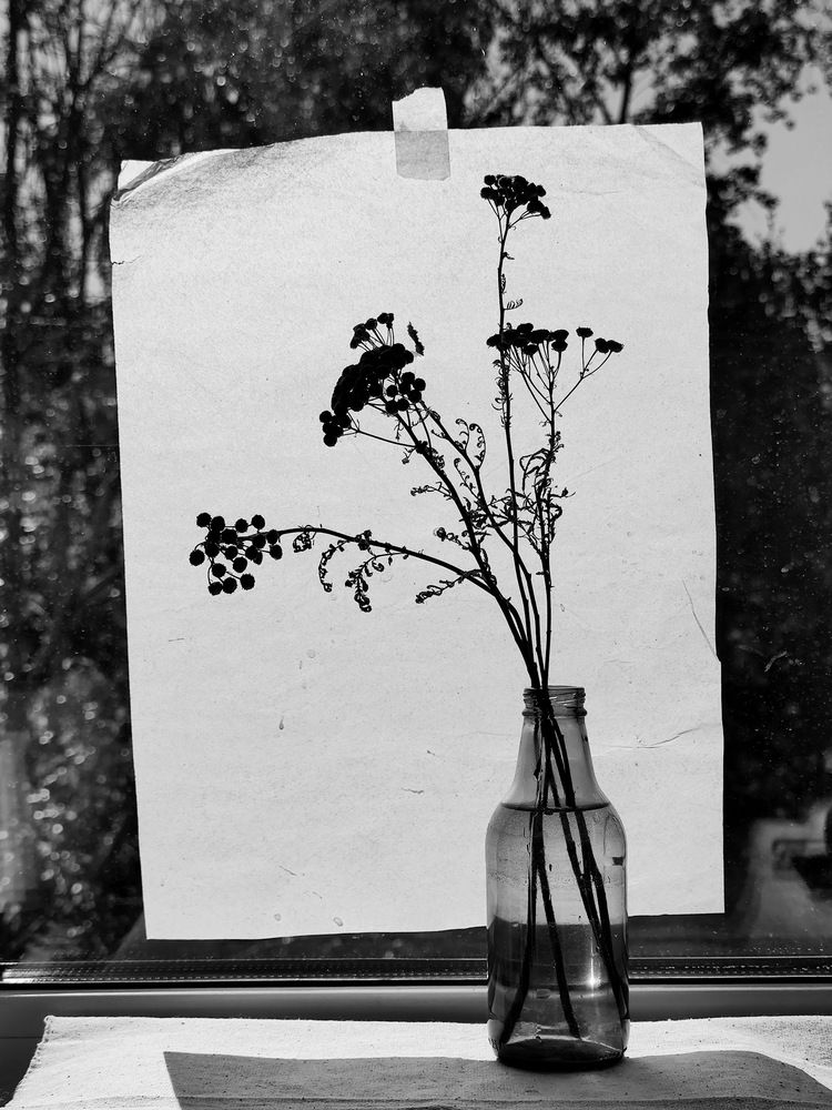 Фотография автора Наталья Силантьева