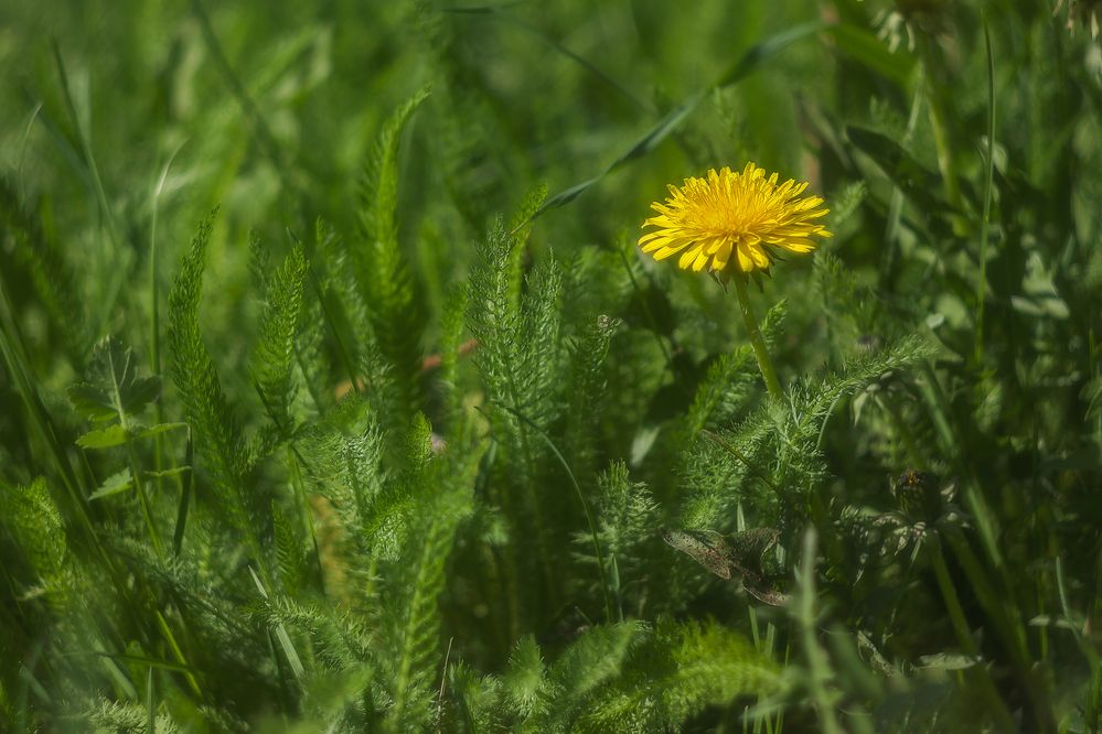 Фотография автора Юдинских Марина