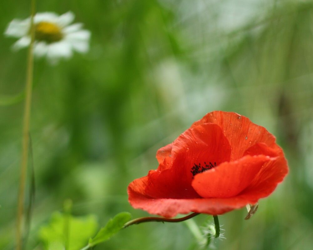 Photograph by Затямин Александр