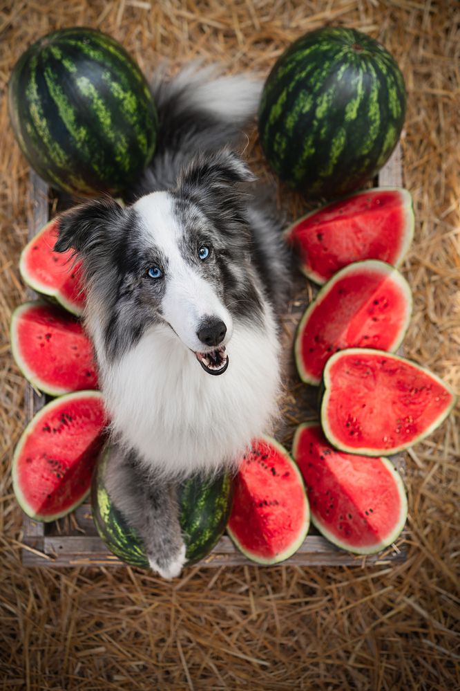 Photograph by Mattia Gorno