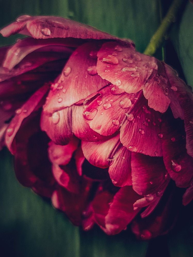 Photograph by Юлия Носкова