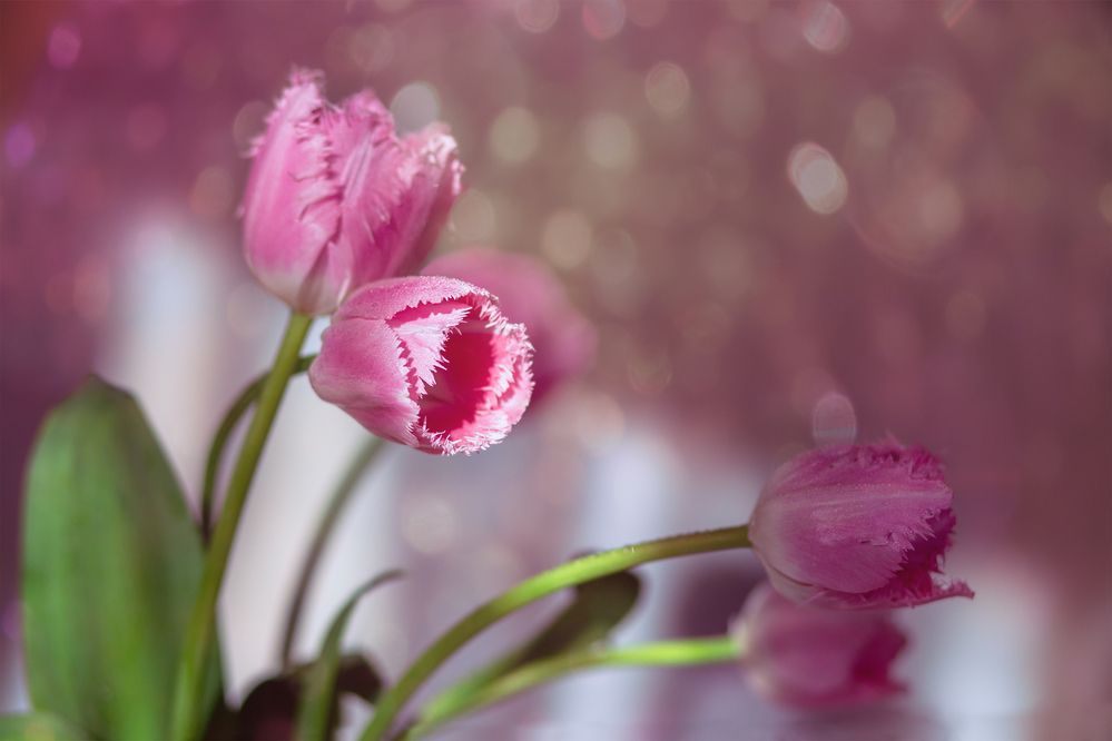 Photograph by Светлана Карнаух