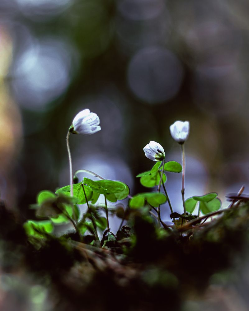 Photograph by Сергей Зайцев