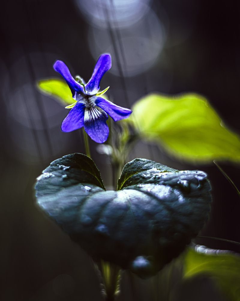 Photograph by Сергей Зайцев