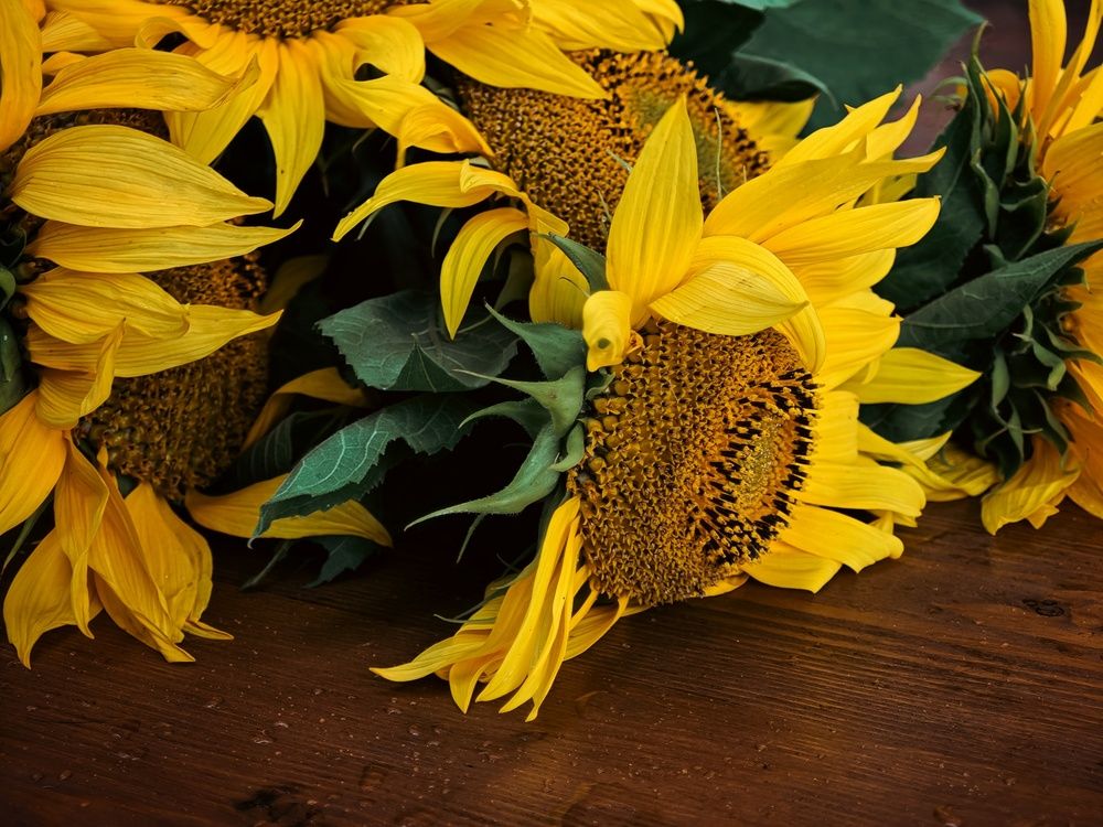 Photograph by Татьяна Соколовская