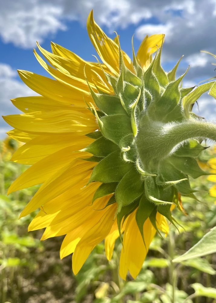 Photograph by Ольга Белоусова