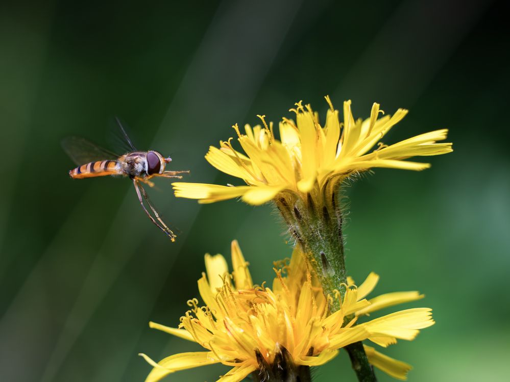 Photograph by Павел Соснин