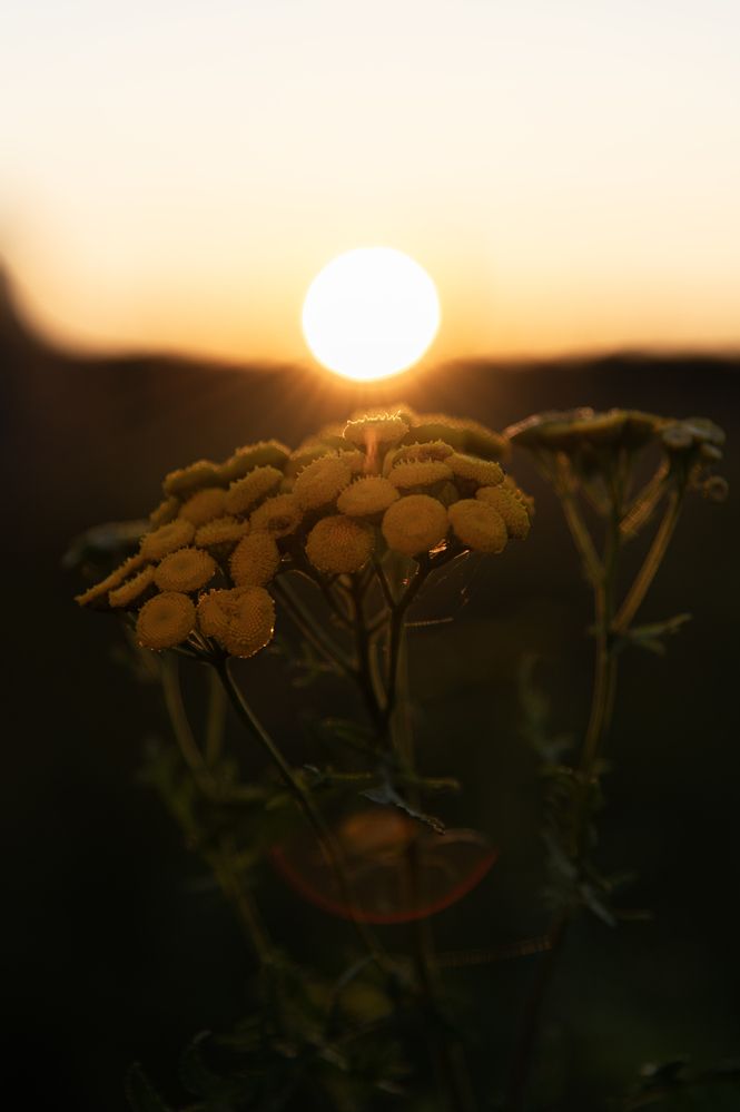 Photograph by Павел Соснин