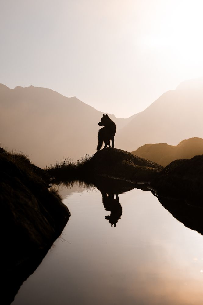 Photograph by Fabienne Gassmann