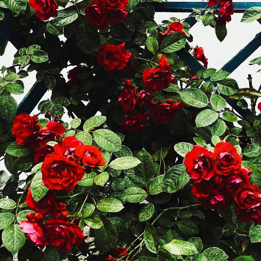 Фотография автора Сергей Демидов