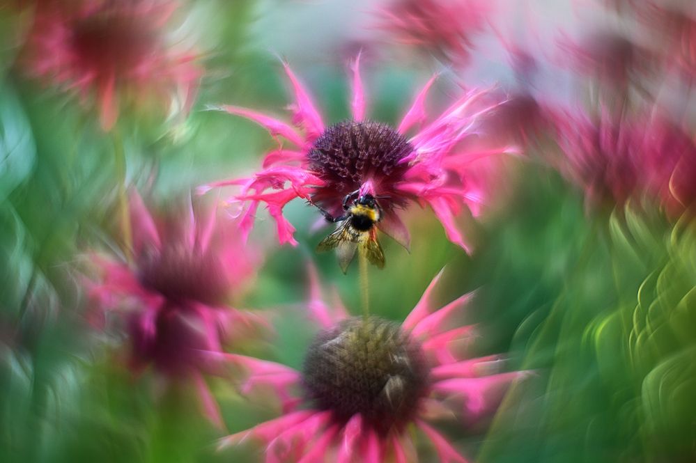 Photograph by Andrey Nuzhdin