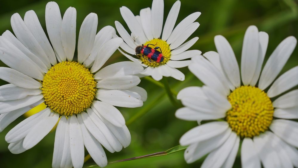 Photograph by Александр Климов